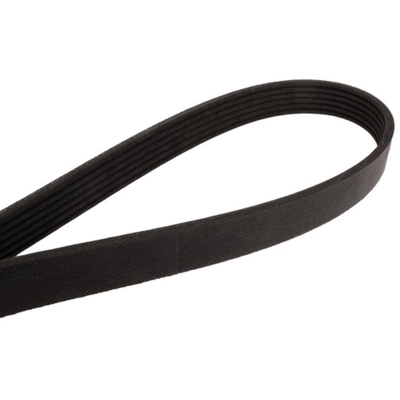 CONTINENTAL - 4060612 - Serpentine Belt - Automotive V-Belt pa2