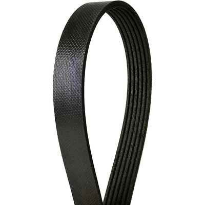 CONTINENTAL - 4060642 - Courroie serpentine - Automotive V-Belt pa1