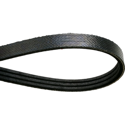 CONTINENTAL - 4060727F - Accessory Drive Multi-V Reinforced Belt Serpentine Belt pa3