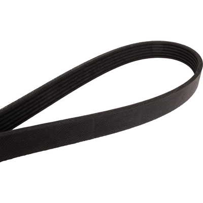 CONTINENTAL - 4060792 - Multi-V Belt pa1