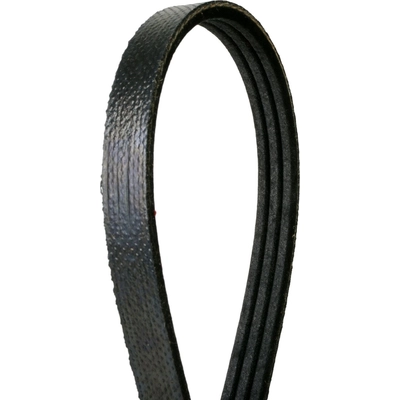 Serpentine Belt by CONTINENTAL - 4060795FX pa1