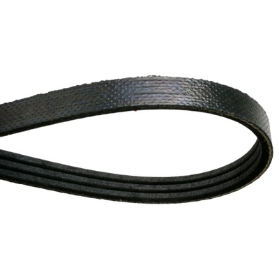 CONTINENTAL - 4060832 - Serpentine Belt pa2