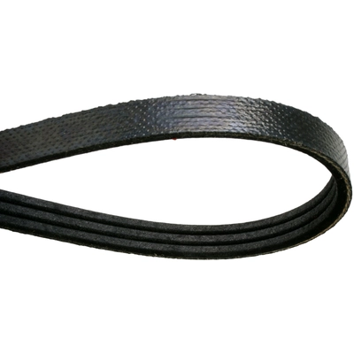 CONTINENTAL - 4060852F - Accessory Drive Multi-V Reinforced Belt Serpentine Belt pa2