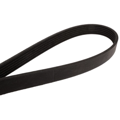 CONTINENTAL - 4060887 - Serpentine Belt - Automotive V-Belt pa2