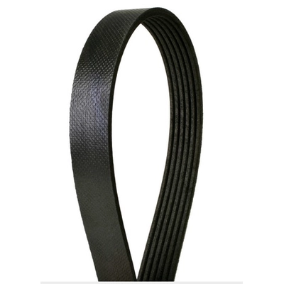 CONTINENTAL - 4061032 - Courroie serpentine - Automotive V-Belt pa2