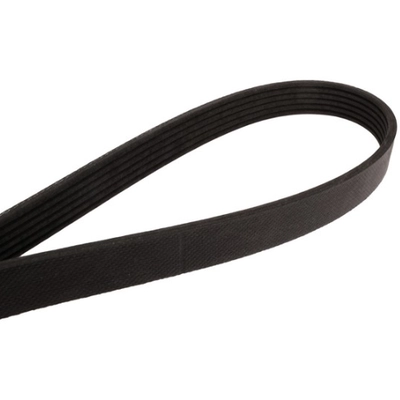 CONTINENTAL - 4061065 - Accessory Drive Belt - Automotive V- Belt pa2