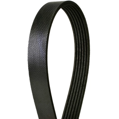 CONTINENTAL - 4061280 - Courroie serpentine - Automotive V-Belt pa1