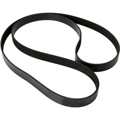 CONTINENTAL - 4070505 - Serpentine Belt - Automotive V-Belt pa4