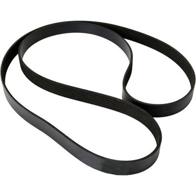 CONTINENTAL - 4070609 - Serpentine Belt - Automotive V-Belt pa6