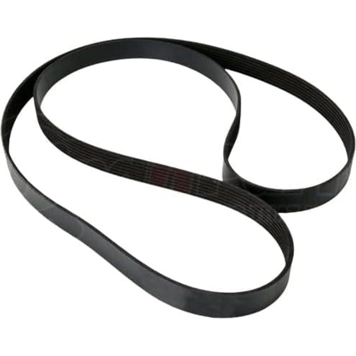 CONTINENTAL - 4070677 - Serpentine Belt - Automotive V-Belt pa4