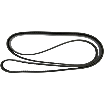 CONTINENTAL - 4070852 - Serpentine Belt - Automotive V-Belt pa1