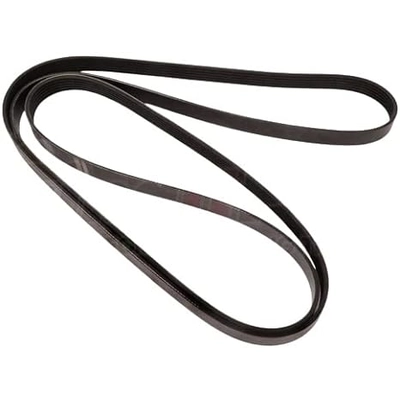 CONTINENTAL - 4070880 - Serpentine Belt - Automotive V-Belt pa1