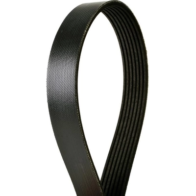 CONTINENTAL - 4070880 - Serpentine Belt - Automotive V-Belt pa6