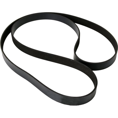 CONTINENTAL - 4071065 - Multi-V Belt pa4