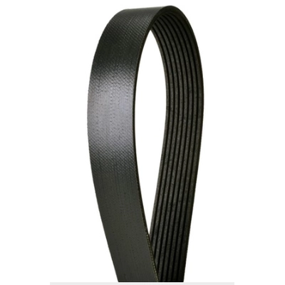 CONTINENTAL - 4080332 - Courroie serpentine - Automotive V-Belt pa2