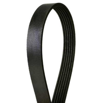 CONTINENTAL - 4080392 - Serpentine Belt - Automotive V-Belt pa3