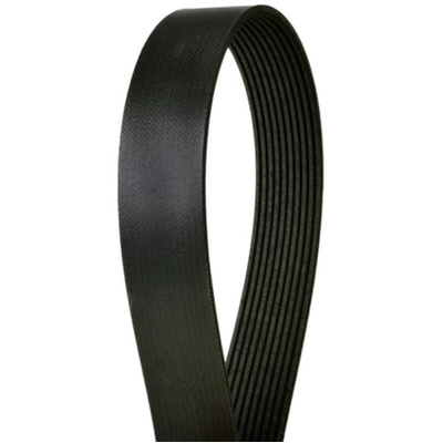 CONTINENTAL - 4080435 - Serpentine Belt - Automotive V-Belt pa2