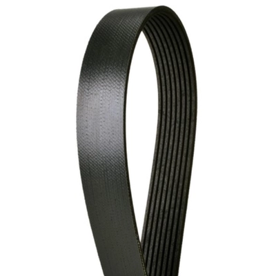 CONTINENTAL - 4080490 - Serpentine Belt - Automotive V-Belt pa2