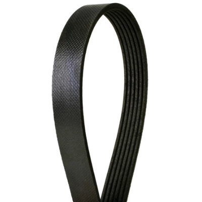 CONTINENTAL - 4080595 - Serpentine Belt - Automotive V-Belt pa2