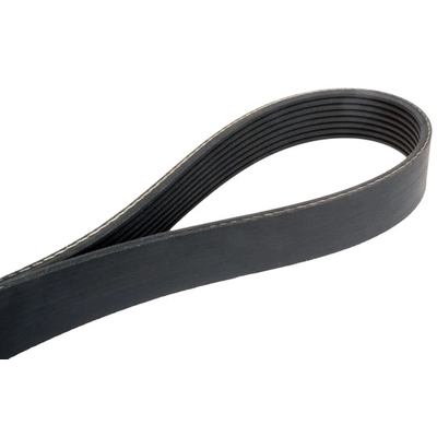 CONTINENTAL - 4080720X - Serpentine Belt - Automotive V- Belt pa2