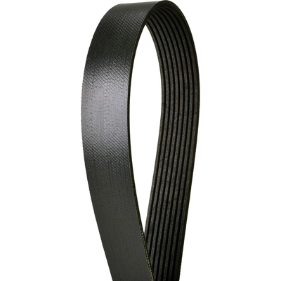 CONTINENTAL - 4080775X - Serpentine Belt - Automotive V-Belt pa5