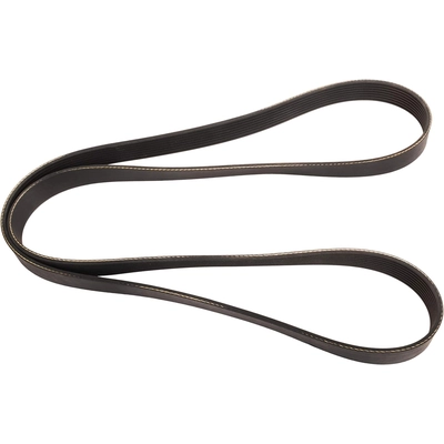 CONTINENTAL - 4080797 - Serpentine Belt - Automotive V- Belt pa2