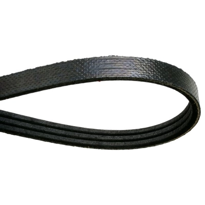 CONTINENTAL - 4080810 - Serpentine Belt pa2