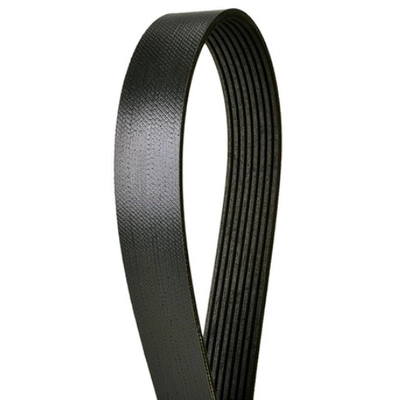 CONTINENTAL - 4080820X - Serpentine Belt - Automotive V- Belt pa2