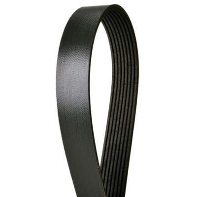 CONTINENTAL - 4080841 - Serpentine Belt - Automotive V-Belt pa2