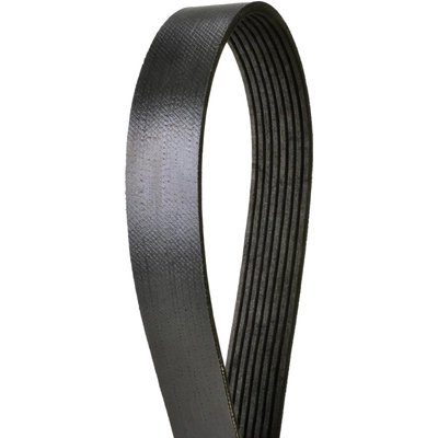 CONTINENTAL - 4080893 - Serpentine Belt - Automotive V-Belt pa7