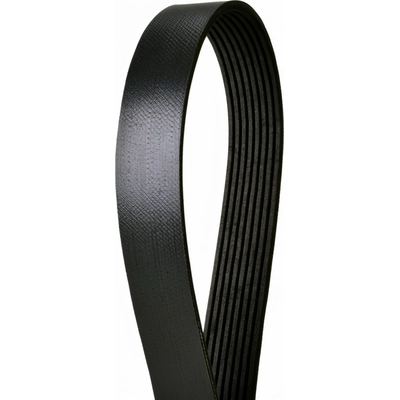 CONTINENTAL - 4080992 - Multi-V Belt pa5