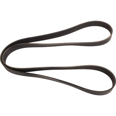 CONTINENTAL - 4081306 - Serpentine Belt - Automotive V-Belt pa2