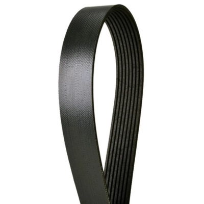 CONTINENTAL - 4081331- Courroie serpentine - Automotive V-Belt pa1