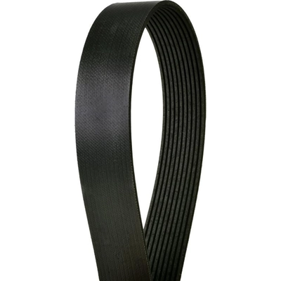 CONTINENTAL - 4100839 - Serpentine Belt - Automotive V-Belt pa7