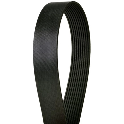 CONTINENTAL - 4100877 - Serpentine Belt - Automotive V-Belt pa1