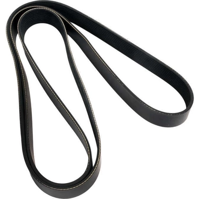 CONTINENTAL - 4101010 - Serpentine Belt - Automotive V - Belt pa2