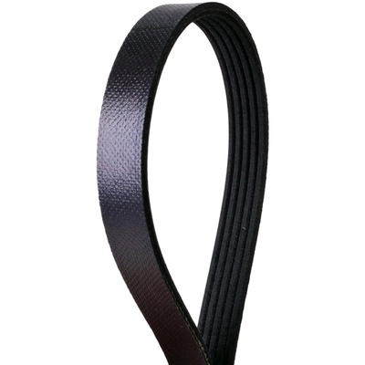 CONTINENTAL - 420K5MK - V Belt pa1