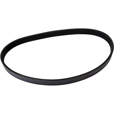 Serpentine Belt by CONTINENTAL - 429K5MK pa1
