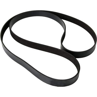 CONTINENTAL - 443K7MK - Mileage Maker V Belt pa1