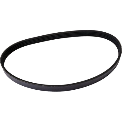 CONTINENTAL - 448K5MK - Mileage Maker V Belt pa1