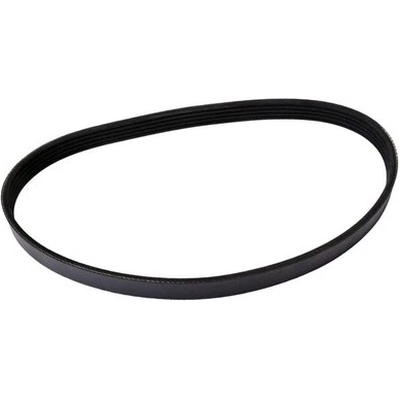Serpentine Belt by CONTINENTAL - 480K5MK pa1