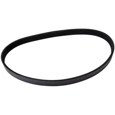 Serpentine Belt by CONTINENTAL - 490K5MK pa1