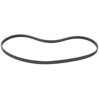 CONTINENTAL - 4PK1120 - Serpentine Belt pa1