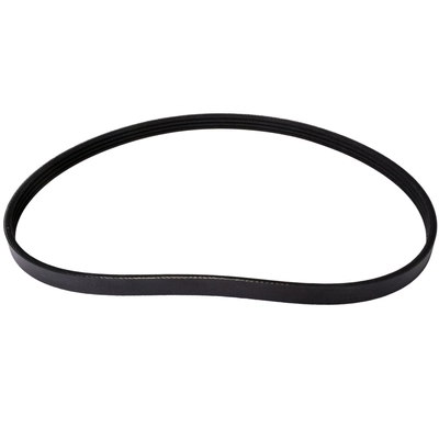 CONTINENTAL - 4PK1344 - Serpentine Belt pa2