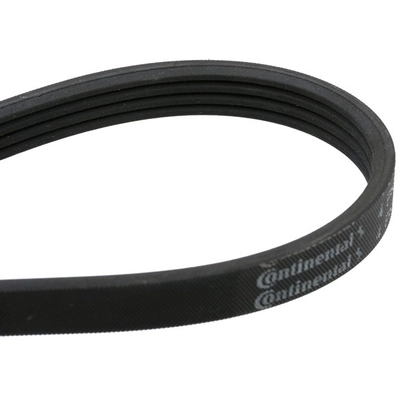 CONTINENTAL - 4PK867ELAST - Accessory Drive Belt pa1