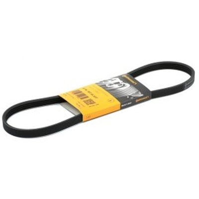 CONTINENTAL - 4PK867ELAST - Accessory Drive Belt pa2