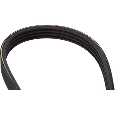CONTINENTAL - 4PK885 - Serpentine Belt pa2