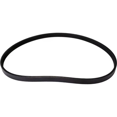 Serpentine Belt by CONTINENTAL - 500K4MK pa1