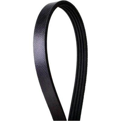 Serpentine Belt by CONTINENTAL - 500K4MK pa2