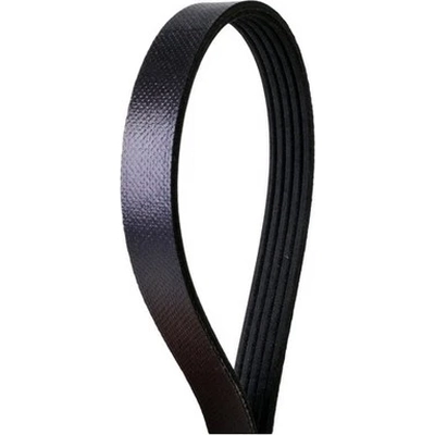 Serpentine Belt by CONTINENTAL - 500K5MK pa2